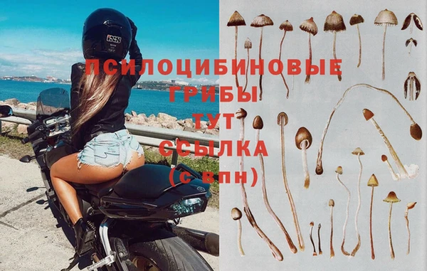 СК Киренск