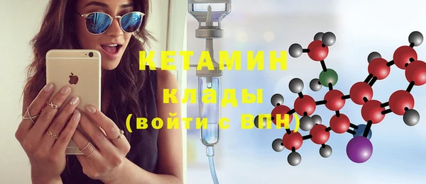 сатива Кинешма