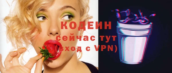 сатива Кинешма