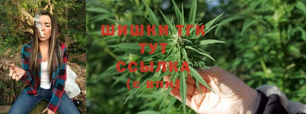 СК Киренск