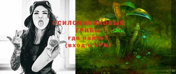 сатива Кинешма