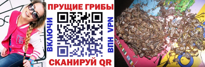 Галлюциногенные грибы мицелий  Купить где  Междуреченск 